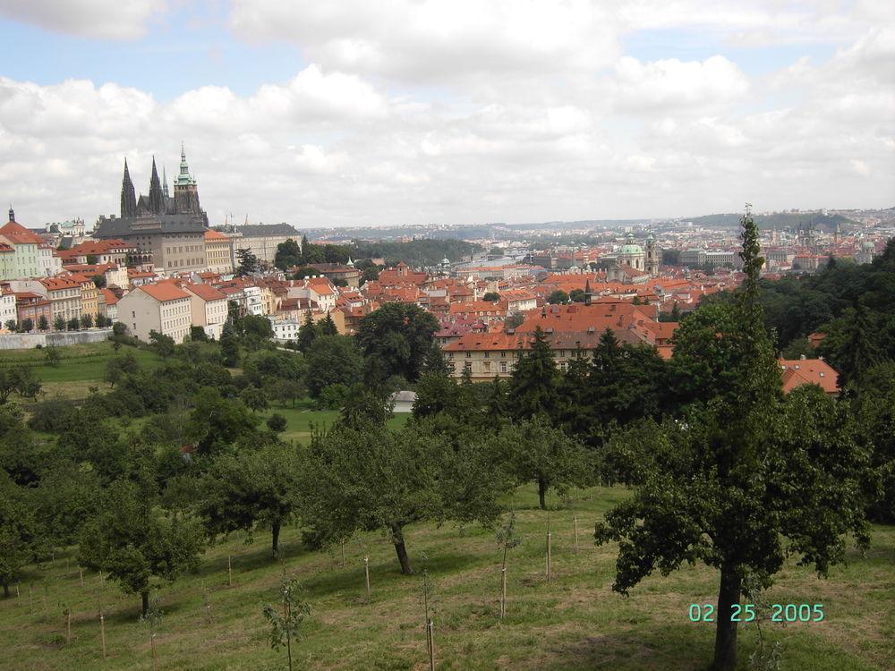 Little Town Budget Hotel Praga Zewnętrze zdjęcie